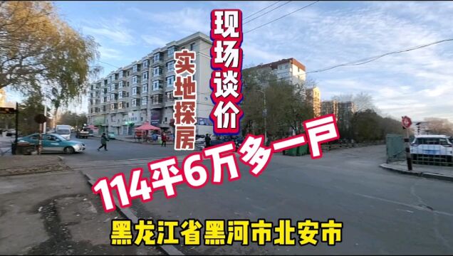 黑龙江省黑河市北安市真实房价,114平拎包即住6万多一套实地探房,全程纪实拍摄