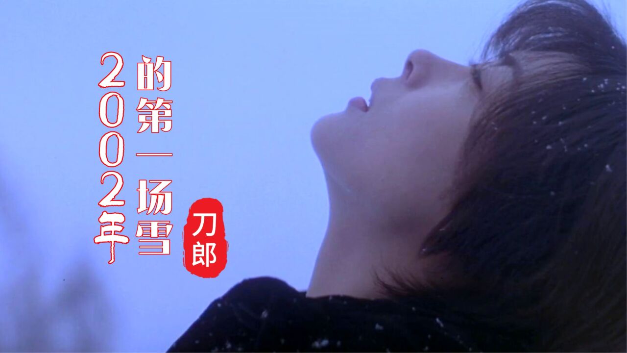 刀郎成名曲《2002年的第一场雪》,旋律优美流畅上口,真正的经典_腾讯视频}