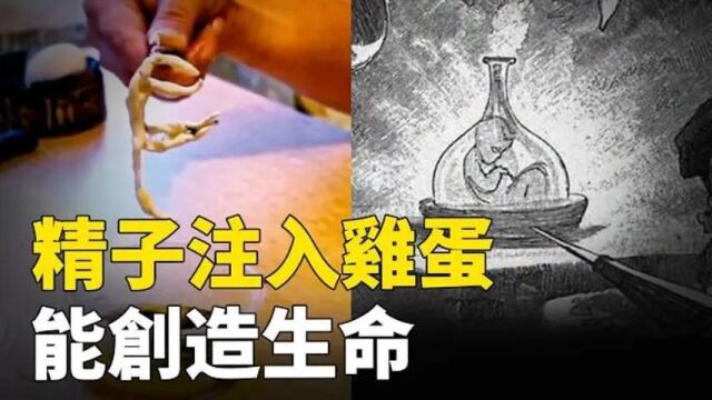 精子注入鸡蛋能创造生命? 2015年一俄罗斯部落客直播炼制,欧洲古老传说【瓶中造人术】,突然断更离奇消失,是诅咒还是意外?