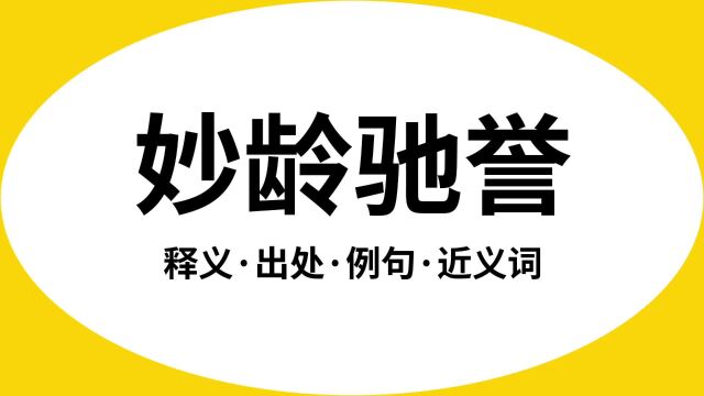 “妙龄驰誉”是什么意思?