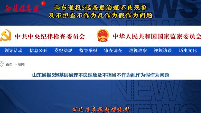 山东通报5起基层治理不良现象及不担当不作为乱作为假作为问题