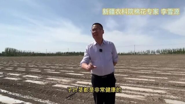 个人养老金要不要买?您最关心的六个问题,一图解答