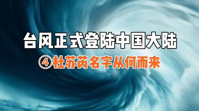 超级台风已登录,揭晓杜苏芮名称从何而来