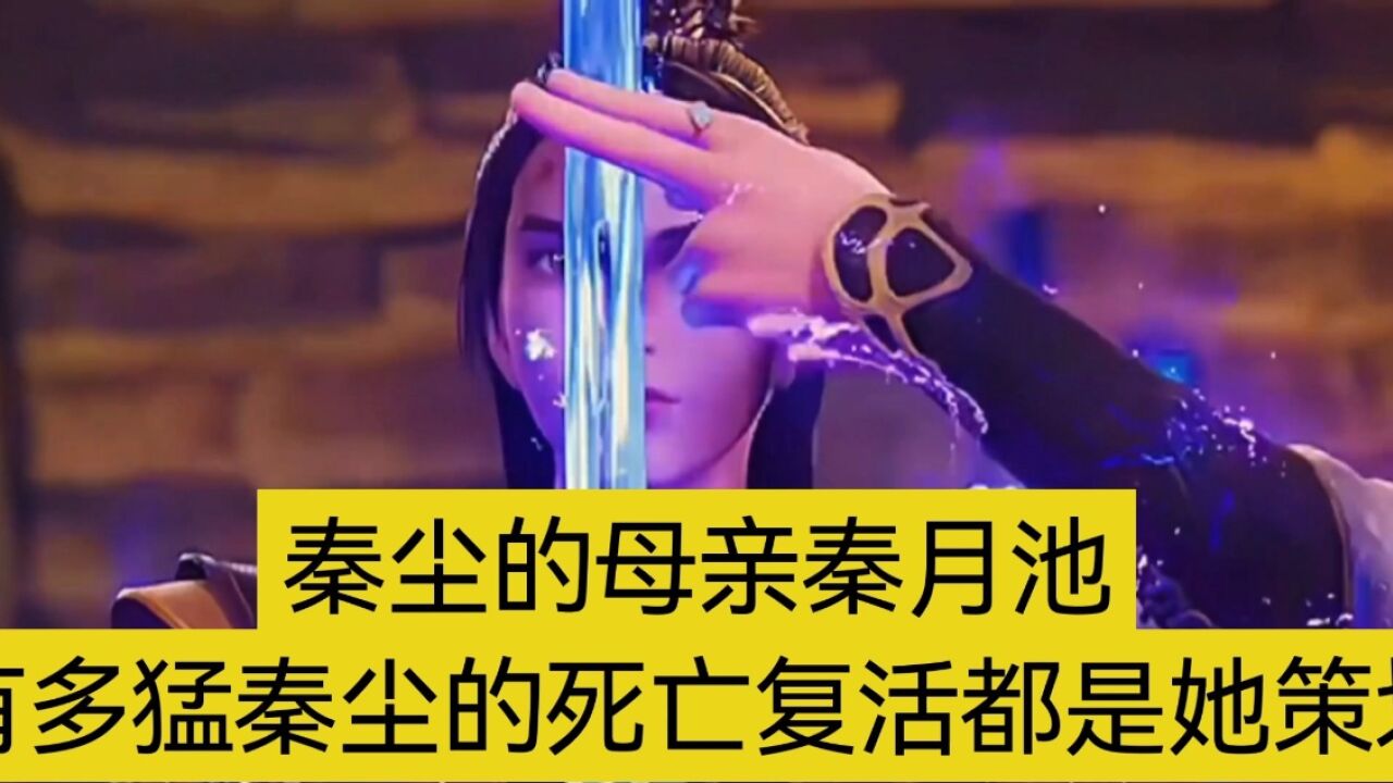武神主宰秦尘的母亲是什么修为