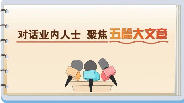 对话丨金融“五篇大文章”明确提出,释放哪些信号?应该如何谋划?