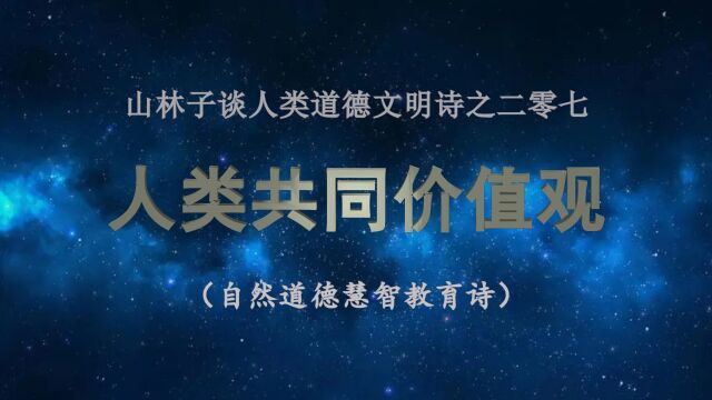 《山林子谈人类道德文明》207【人类共同价值观】鹤清工作室