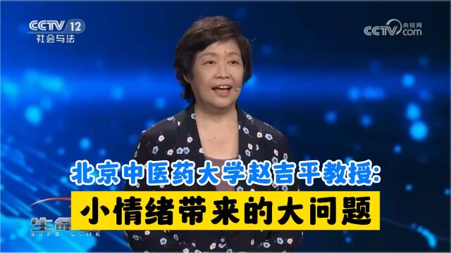 北京中医药大学赵吉平教授:小情绪带来的大问题,试试中医“五心汤”