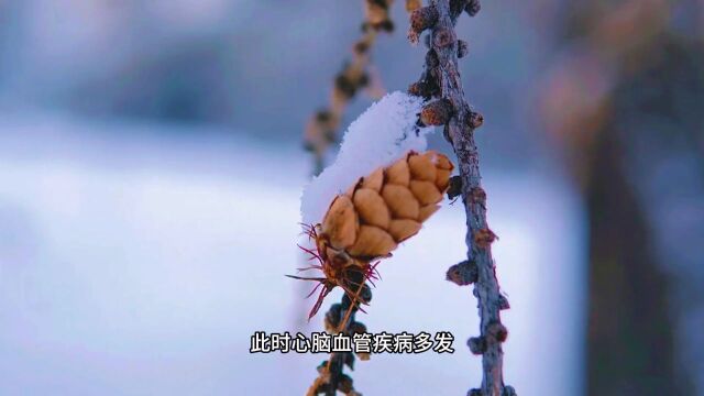 原创微视频ⷮŠ小雪丨做好“三藏”,一冬健康!