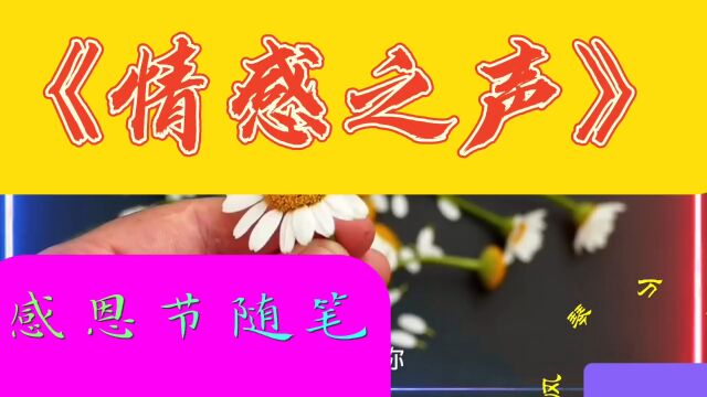 《情感之声》感恩节随笔