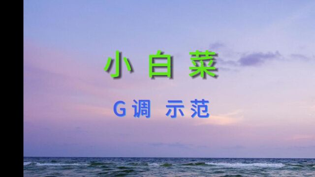 《小白菜》二胡G调 二胡示范曲 有声动态简谱