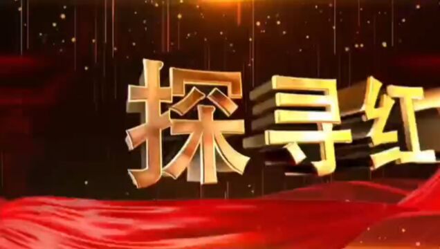 王欣然党史青年说