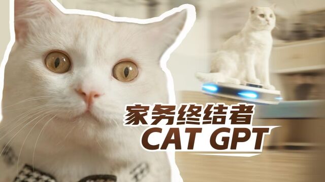 被家务缠身的猫咪已通过catgpt实现猫生自由,天弘中证机器人基金值得你拥有