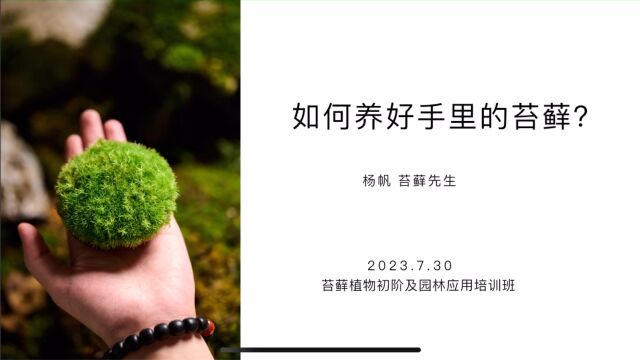 2023年苔藓植物初阶及园林应用培训班苔藓先生授课视频