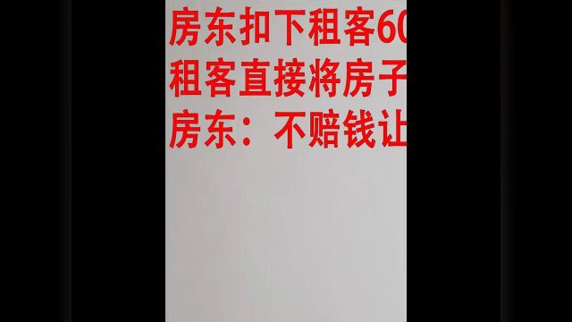 房东租房房租 1