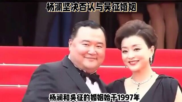 杨澜坚决否认与吴征婚姻