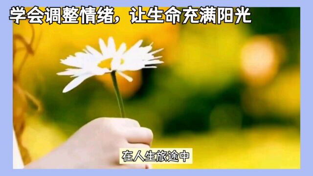 学会调整情绪,让生命充满阳光