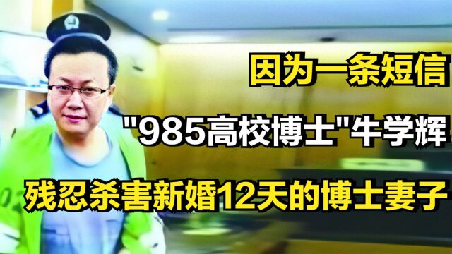 因为一条短信,985高校博士牛学辉,残忍杀害新婚12天的博士妻子