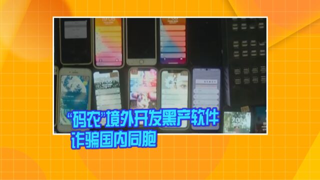 “码农”境外开发黑产软件 诈骗国内同胞