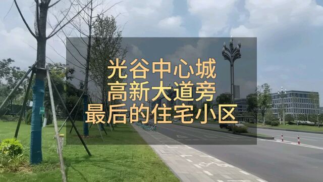 光谷中心城纯新盘,高新大道旁最后一个住宅小区,11号线地铁口