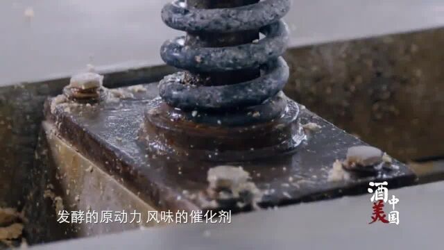 酒美:曲为酒之骨,酒曲的好坏,能直接看出白酒的质量