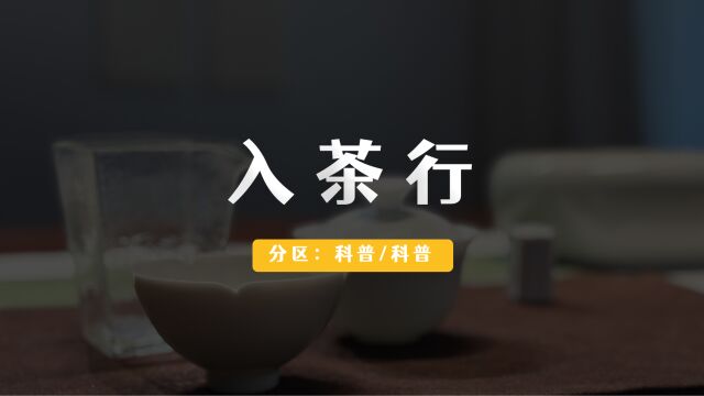 爱喝茶就可以进入茶行业吗?