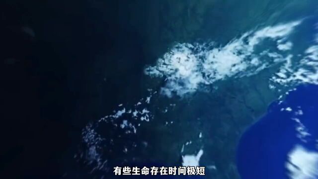 地球上生命最顽强的生物,最后一个拥有“不死身”