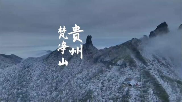 2023一定要带喜欢的人来梵净山看一次雪景#赏梵净冬雪泡千年古泉 #梵净山雪景 #奔赴一场雪的快乐 #这个冬天总要来趟贵州吧