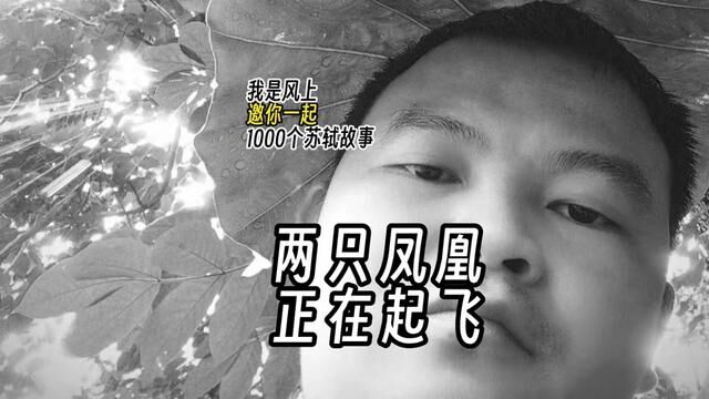 苏轼1000个故事:苏东坡家的院子里飞来几只小“凤凰”,都是程妈妈的功德.苏东坡小时候在眉山老家读书的房子原名“南轩”.