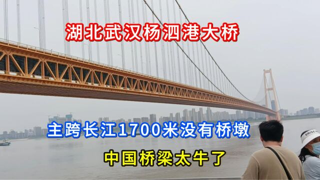 湖北武汉杨泗港大桥,主跨长江1700米没有桥墩,中国桥梁太牛了!