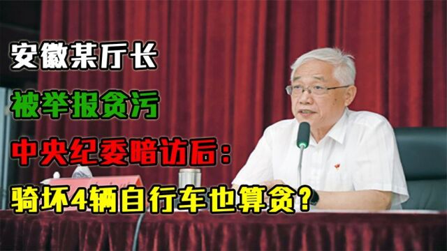 安徽某厅长被举报贪污,中央纪委暗访后:骑坏4辆自行车也算贪?