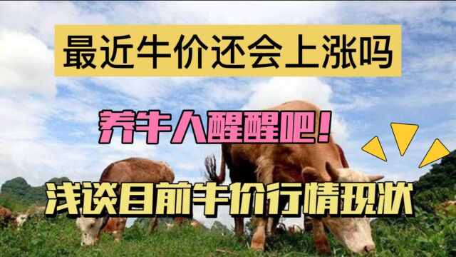 最近牛价还会上涨吗?养牛人醒醒吧!浅谈目前肉牛行情现状