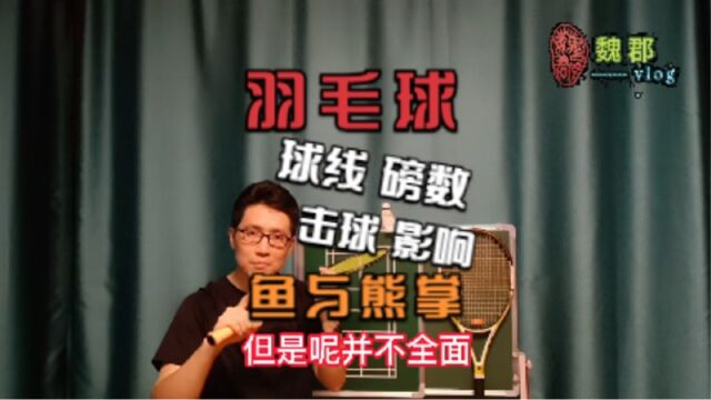 魏郡:《羽毛球日志》球线的磅数对击球的影响!鱼与熊掌的博弈