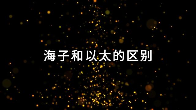 海子和以太的区别……宇宙是一个海洋,宇宙中充满了一类人类探测不到、发现不了的粒子,这类粒子被我命名为“海子”,因为这类粒子充满