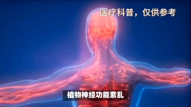 身体功能障碍的源头