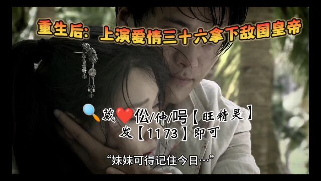 重生后:上演爱情三十六拿下敌国皇帝(萧映月)全文阅读~最新章节~完整版