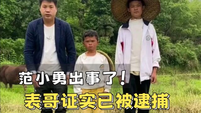 “小马云“表哥证实,范小勇已被捕,恐判刑十年