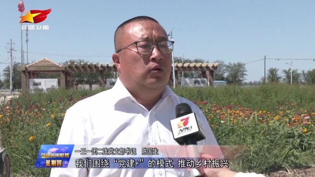 乡村振兴调研行 | 七师胡杨河市:党建引领激活乡村振兴新动能