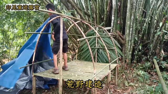 雨林建造简易庇护所搭建