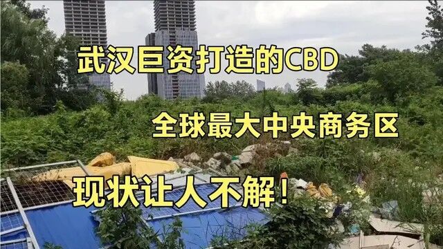 泛海耗资4000亿打造的武汉CBD,如今这般景象?你敢相信嘛?太可惜