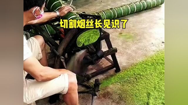 原来烟丝是这样切割的,真的长见识了. #搞笑配音 #搞笑视频