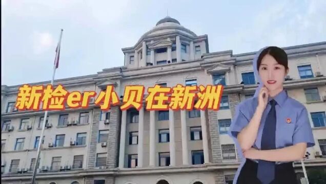 喜报!新洲区检察院再添这些荣誉