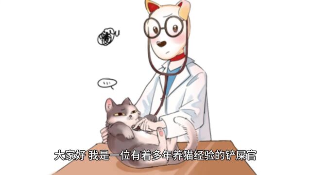 猫罐头怎么选?新手必看热门猫罐头排行榜品牌盘点