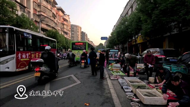 建瓯盛海早市,整条街都是摆摊卖菜的