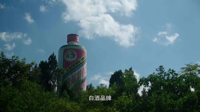 8集系列人物纪录片《大师》影像志之季克良:匠心酿造