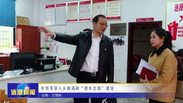 市领导深入乡镇调研“碧水支部”建设