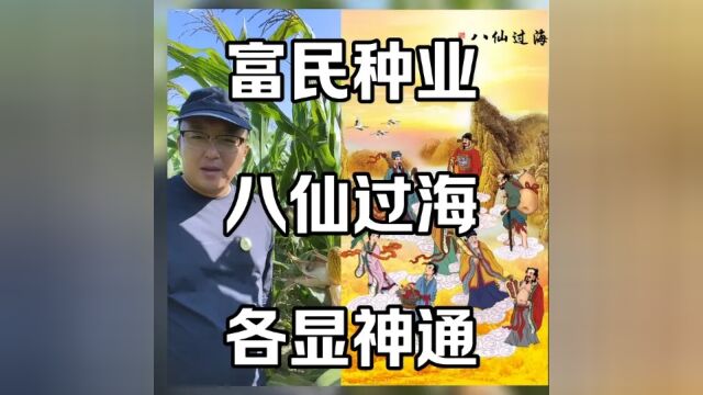 富民八大国审,各显神通#最新国审高产玉米种子 #矮杆大棒玉米种 #种业人 #种业 #东北五仙