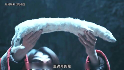 第八集《黄皮子坟》鬼吹灯系列_高清1080P在线观看平台_腾讯视频