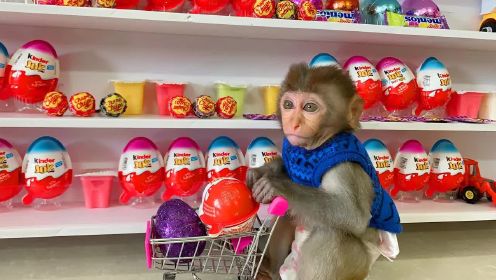 猴子波波喜欢棒棒糖，可惜妈妈不给买，可把它给馋坏了
