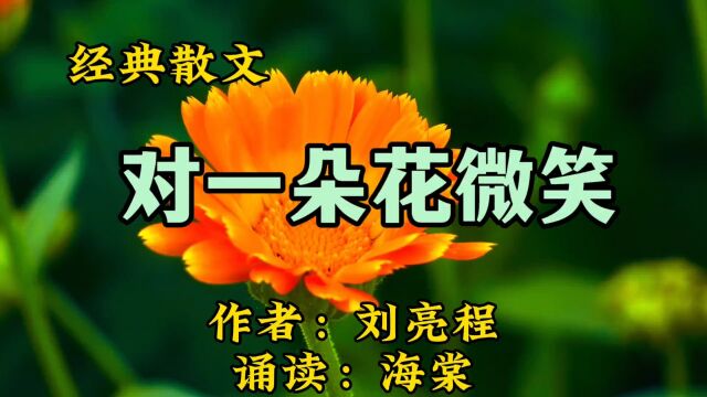 经典散文诵读:《对一朵花微笑》作者:刘亮程