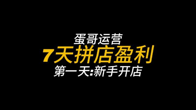 7天让0基础新手开拼多多之第一天